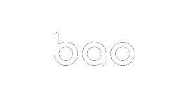 BAO Casino